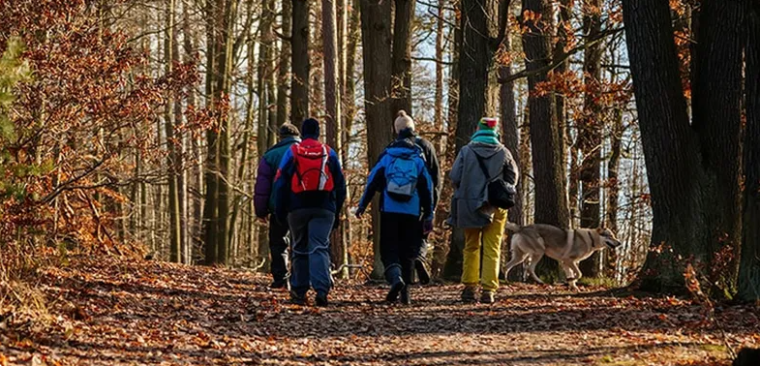 Capture d'écran 2025-11-10 164326.png